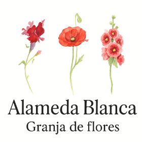 logo flores